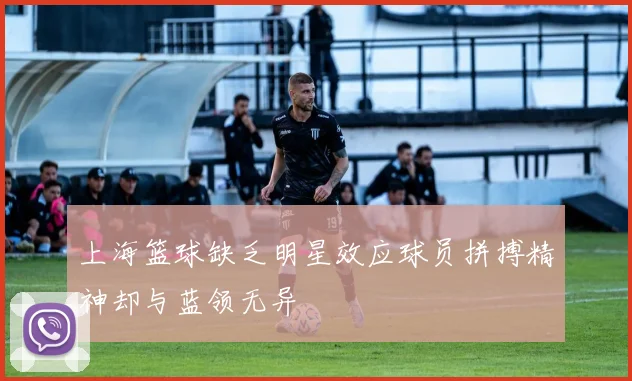上海篮球缺乏明星效应球员拼搏精神却与蓝领无异